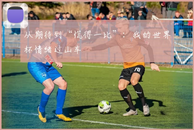 从期待到“慌得一比”:我的世界杯情绪过山车