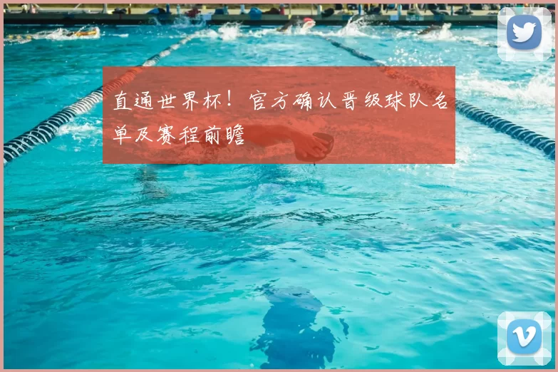 直通世界杯!官方确认晋级球队名单及赛程前瞻