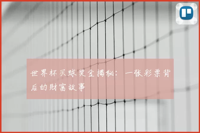 世界杯买球奖金揭秘：一张彩票背后的财富故事