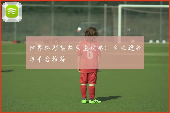 世界杯彩票购买全攻略:合法途径与平台推荐