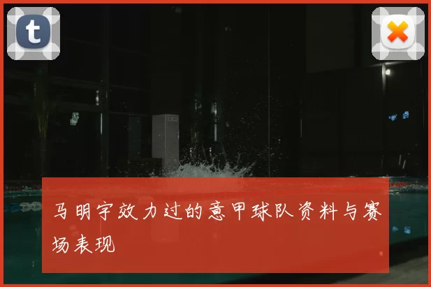 马明宇效力过的意甲球队资料与赛场表现