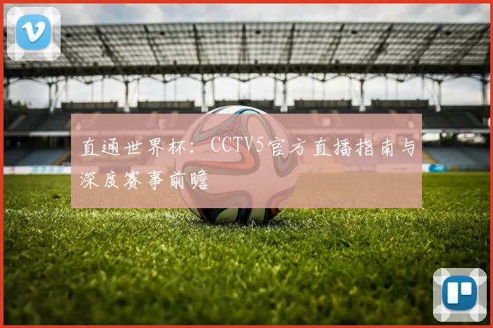 直通世界杯:CCTV5官方直播指南与深度赛事前瞻