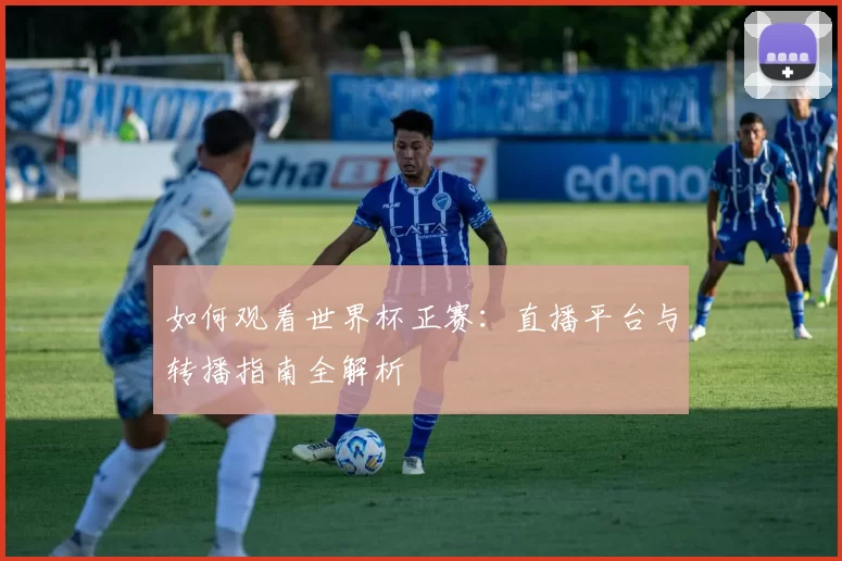 如何观看世界杯正赛:直播平台与转播指南全解析