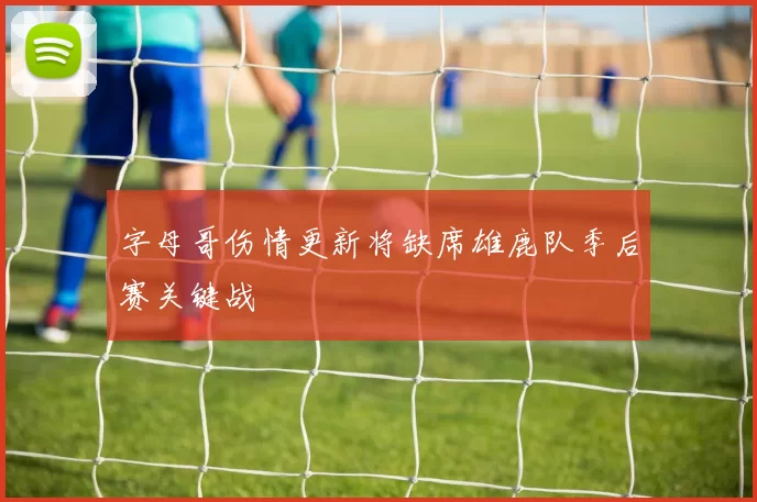 字母哥伤情更新将缺席雄鹿队季后赛关键战