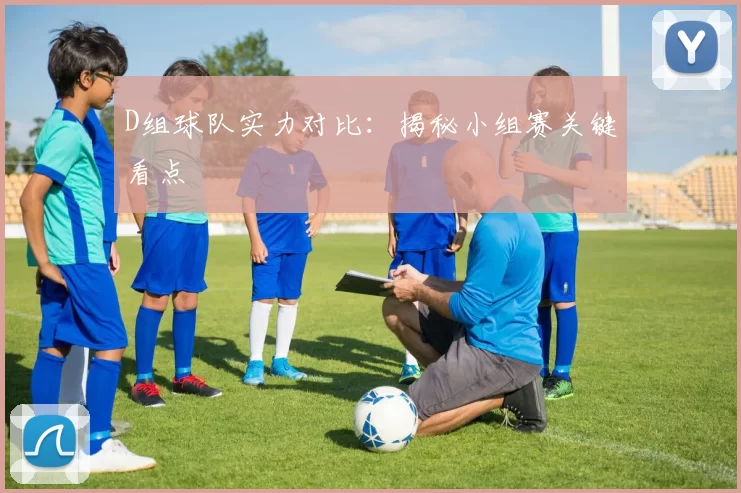 D组球队实力对比：揭秘小组赛关键看点