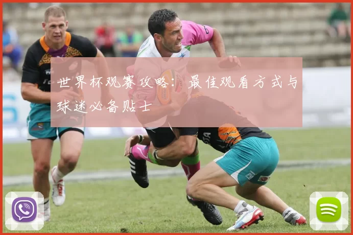 世界杯观赛攻略：最佳观看方式与球迷必备贴士