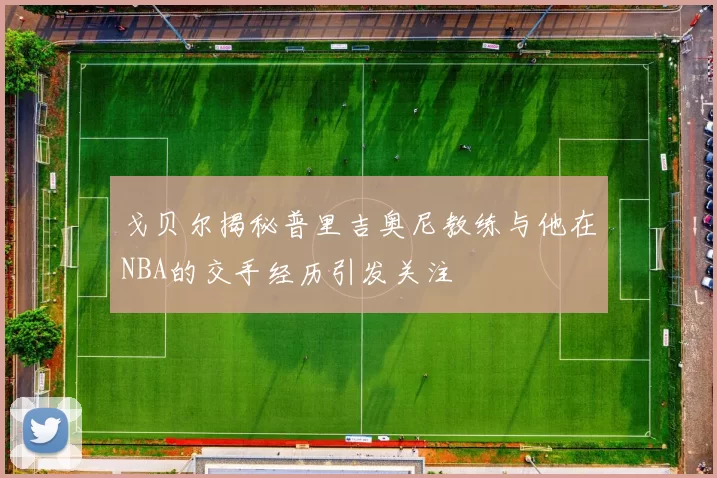 戈贝尔揭秘普里吉奥尼教练与他在NBA的交手经历引发关注
